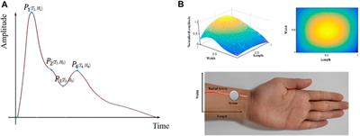 Increasing the sensor channels: a solution for the pressing offsets that cause the physiological parameter inaccuracy in radial artery pulse signal acquisition